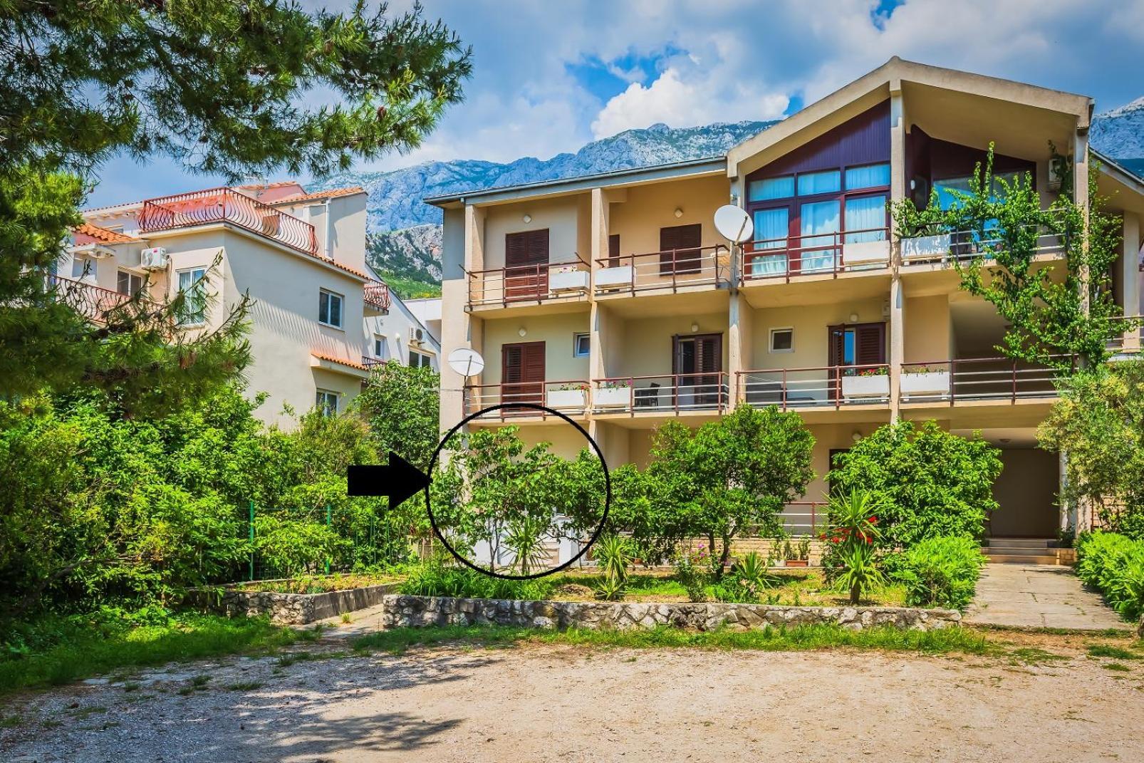 Apartments Agneza Tučepi Dış mekan fotoğraf