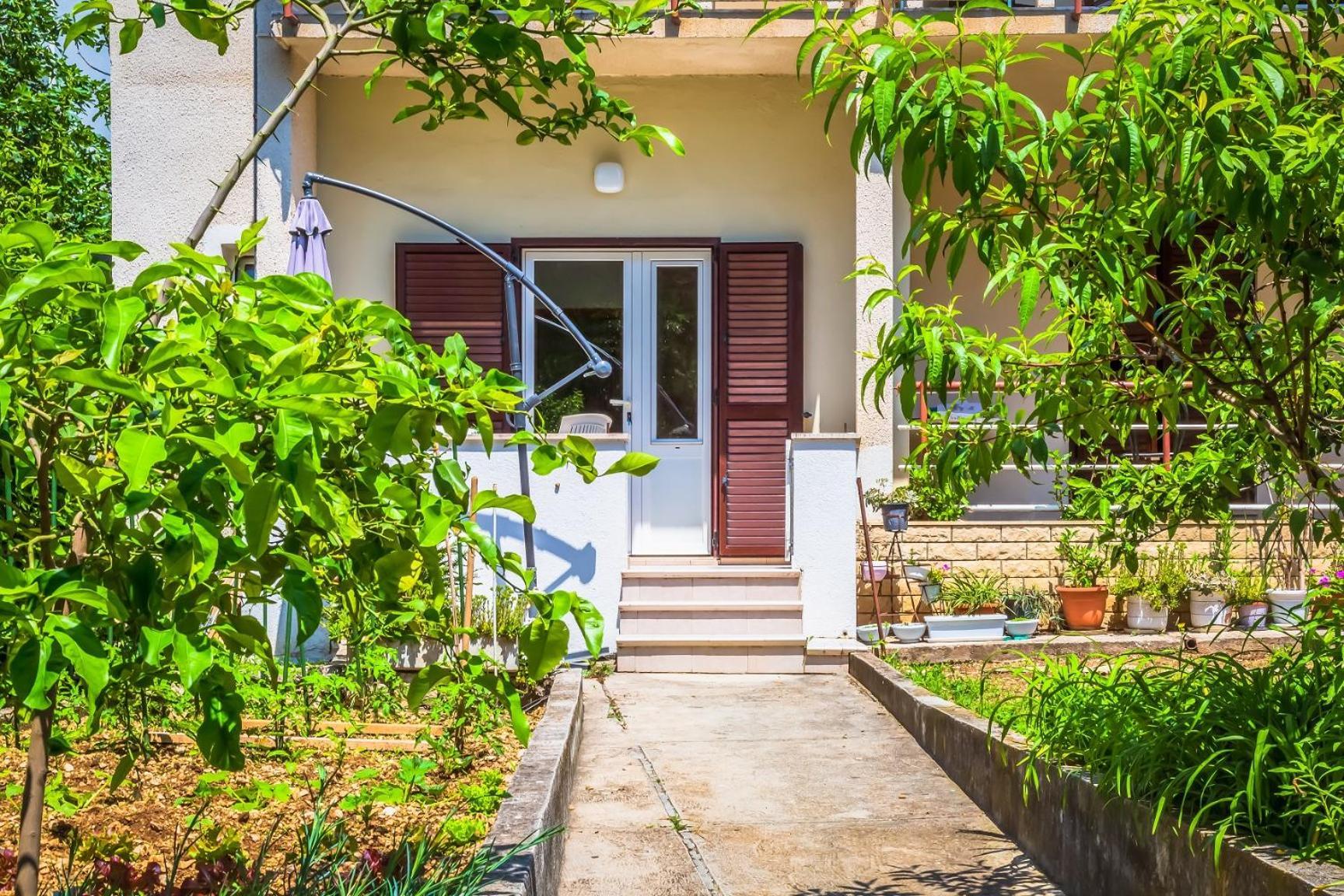 Apartments Agneza Tučepi Dış mekan fotoğraf